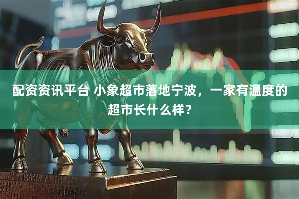 配资资讯平台 小象超市落地宁波，一家有温度的超市长什么样？